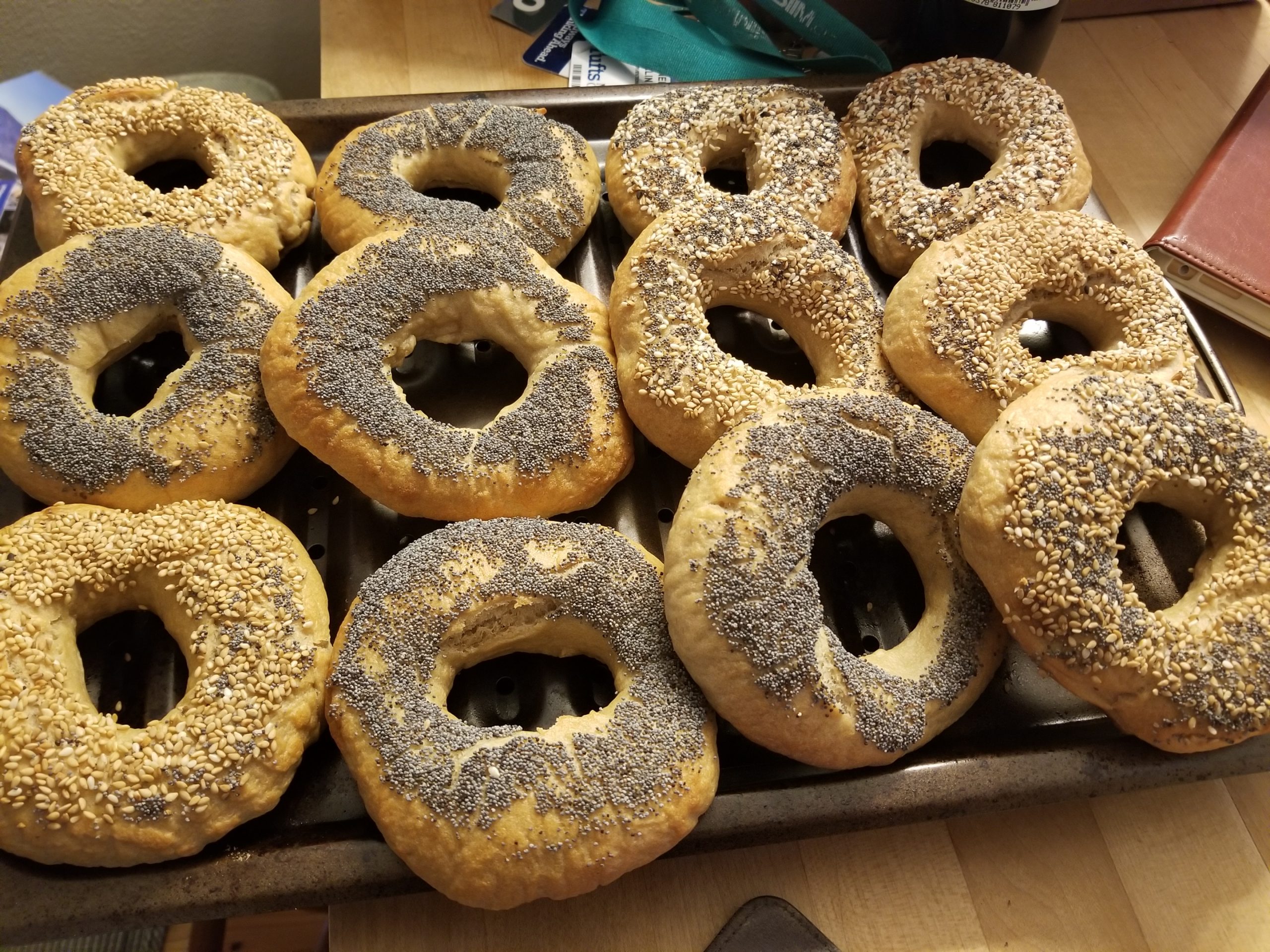 LJ Cohen Bagels