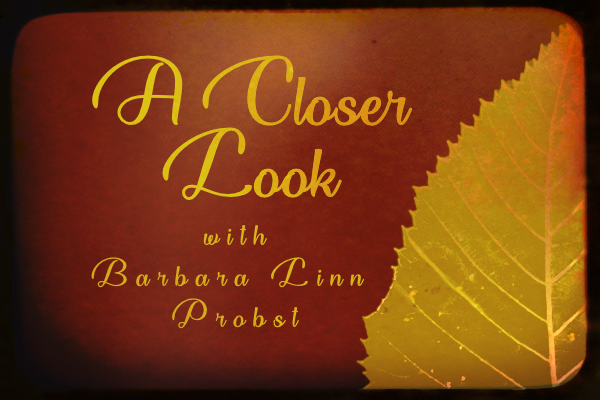 Barbara Probst