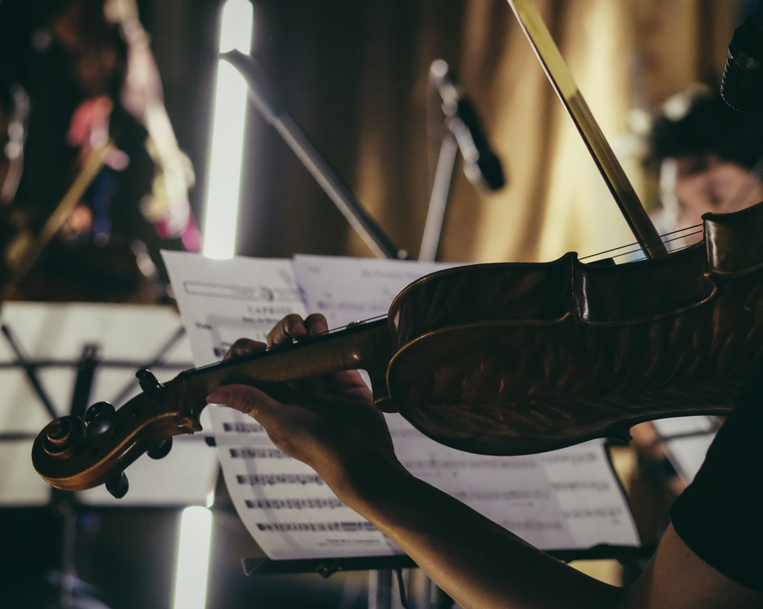 woman holding a violin