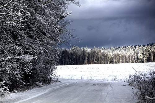 Image - iStockphoto: Pali