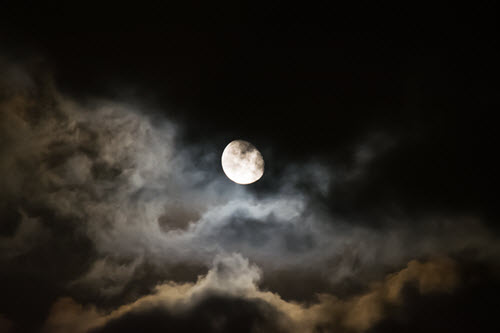 Image - iStockphoto: Al Kane
