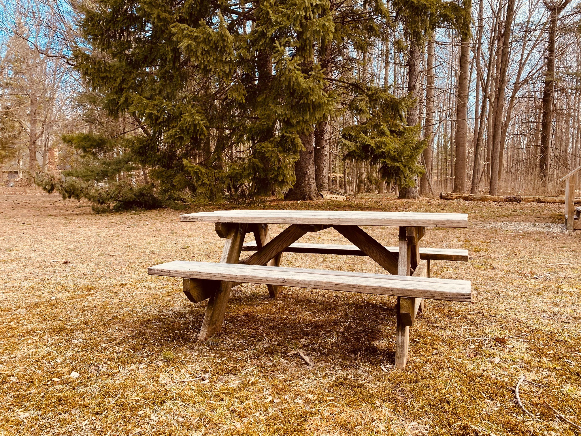 031421 HH Picnic Table (Small version)
