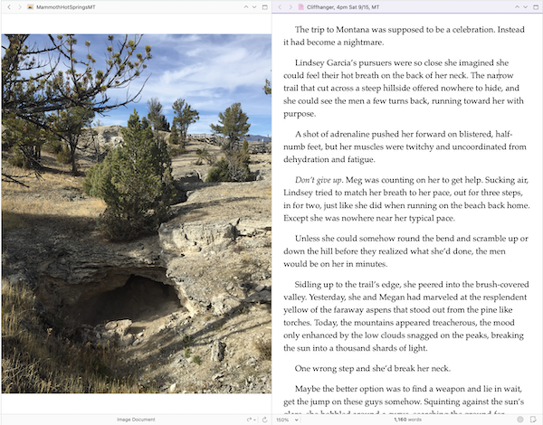split screen example with image on the left and text on the right