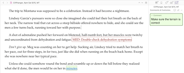 annotation and comment in text