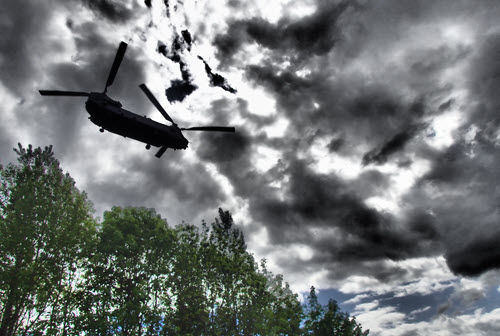 Image: Getty iStockphoto: John Phoenix Hutchinson
