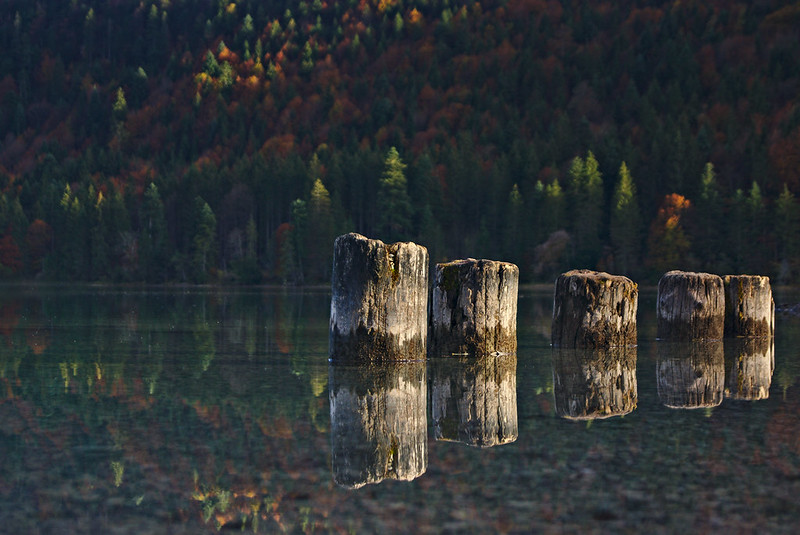 Still Standing Still, Zoltan Voros