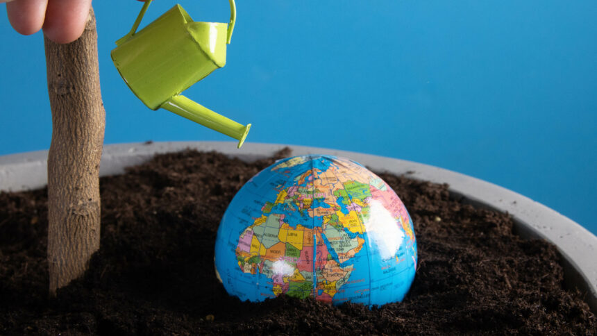 Hand watering little globe buried in dirt