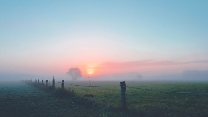 Image by <a href="https://pixabay.com/users/splashi-622646/?utm_source=link-attribution&amp;utm_medium=referral&amp;utm_campaign=image&amp;utm_content=1494433">Christian S</a> from <a href="https://pixabay.com/?utm_source=link-attribution&amp;utm_medium=referral&amp;utm_campaign=image&amp;utm_content=1494433">Pixabay</a>