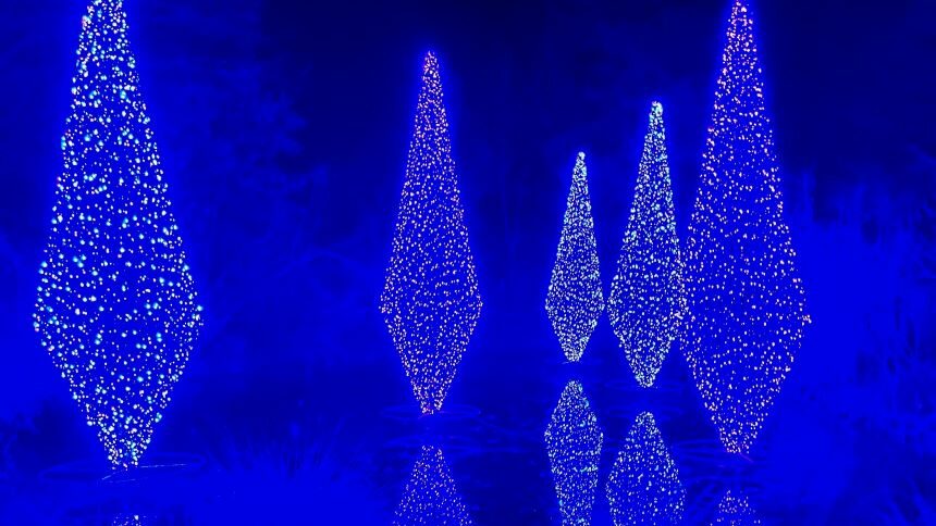 Fernwood Christmas Lights 860