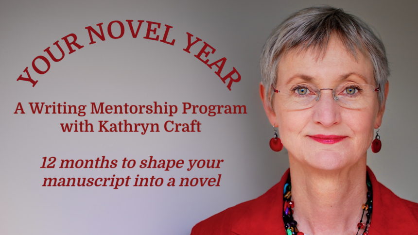 your novel year