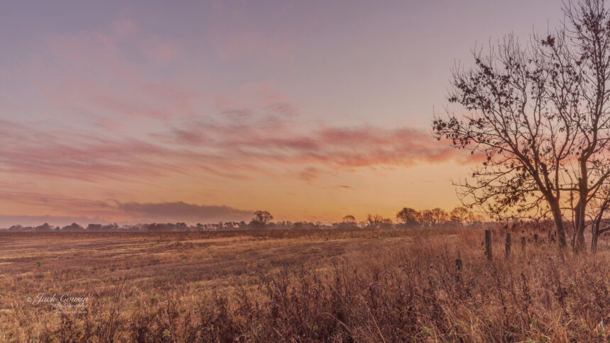 Dawn breaks across the fields in winter with plants and grass in the foreground.  A red sky is overhead.