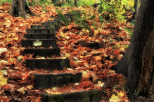 A photograph taken from the bottom of a set of stairs in the woods. The season is autumn and the stairs and surrounding ground are covered in fallen red, yellow, and orange leaves. The bottom of a few trees can be seen on either side of the steps.