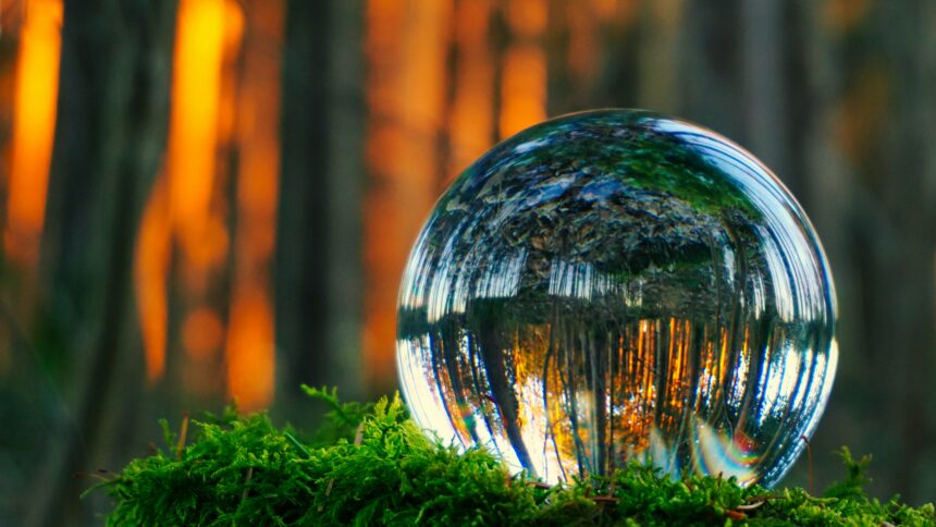An image of a crystal ball laying on deep green moss, reflecting the golden light and trees around it.