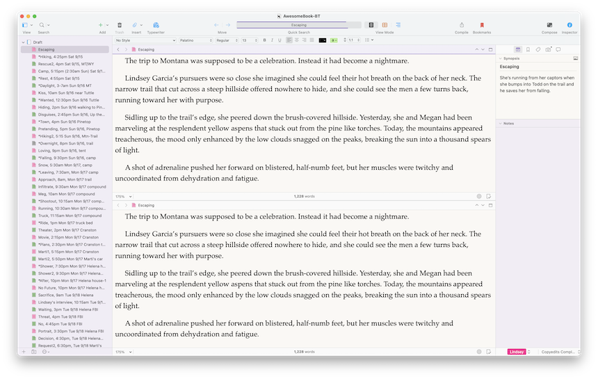 Scrivener editor spilt into two panes horizontally