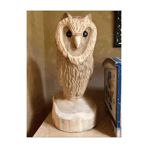 a whole lotta owls