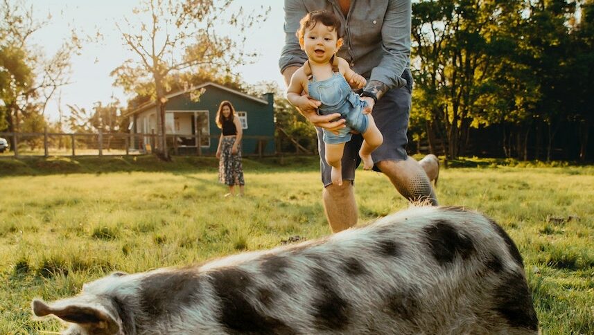 Photo by Gabriel Pompeo: https://www.pexels.com/photo/father-and-child-playing-with-a-pig-4676941/