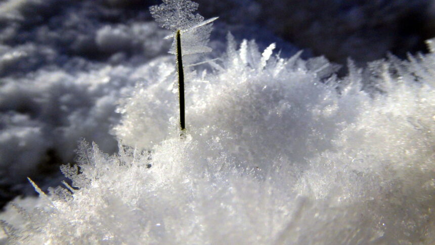 Magic Wand, Erich Ferdinand, Flickr