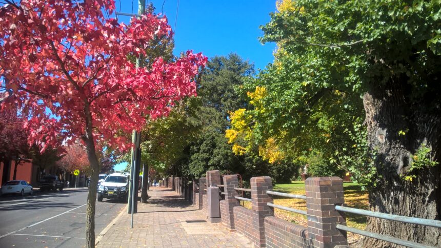 armidale autumn street