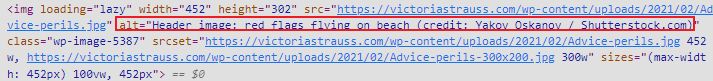 Screenshot of image ALT text crediting photographer and Shutterstock