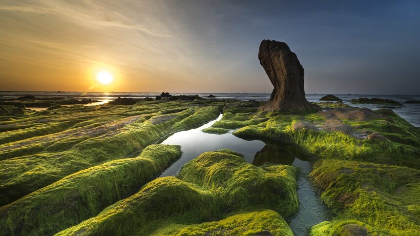 coast-3358820_1280