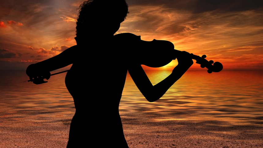 violinist-violinist-3351494_1280