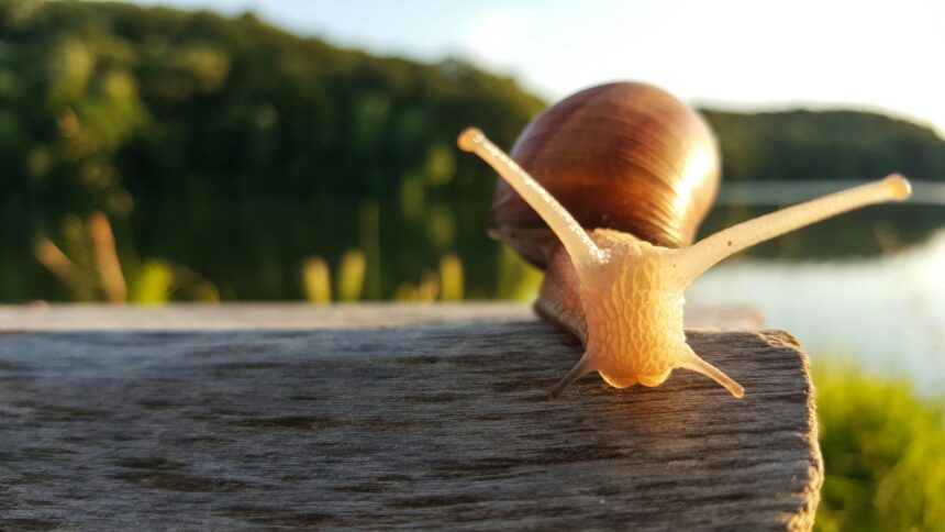 slow write