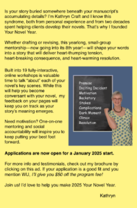 Learn from the best with Kathryn Craft through "Your Novel Year."