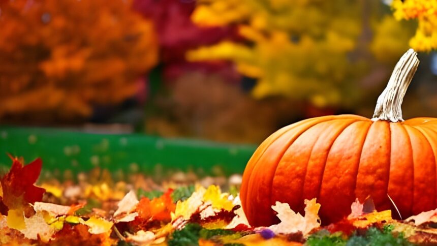 Thanksgiving