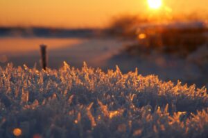 An image of a sunrise or sunset with the sun shining on ice crystals.