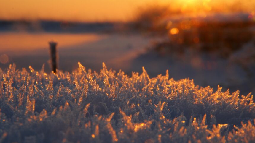An image of a sunrise or sunset with the sun shining on ice crystals.