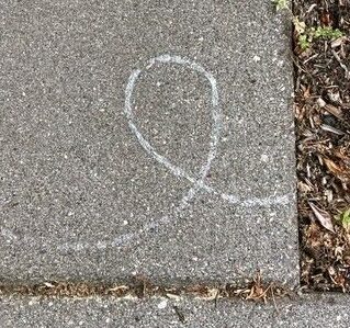 silvery loop-d-loop of snail slime on a concrete paver.